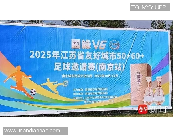 南京足球队在邀请赛中的技术表现分析与点评