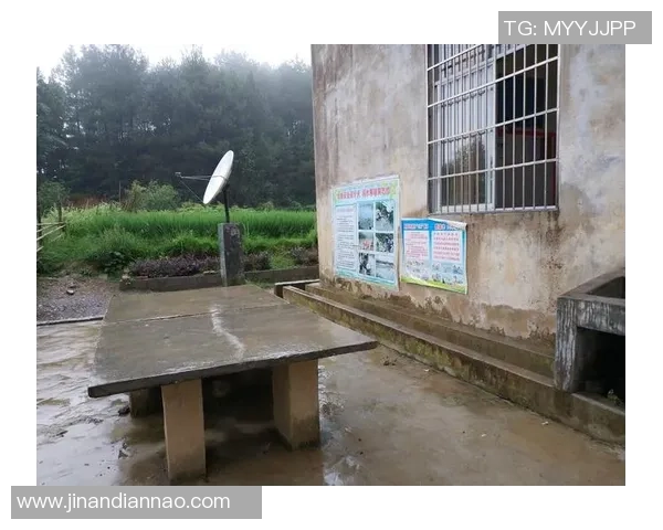 深度对话：李秀英的乒乓球人生