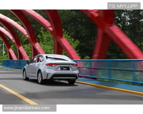 赛后复盘：成都极限运动队 vs 北京极限运动队的耐力